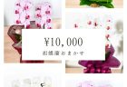 横浜市金港町へ入社式用壇上花配達しました！【横浜花屋の花束・スタンド花・胡蝶蘭・バルーン・アレンジメント配達事例314】